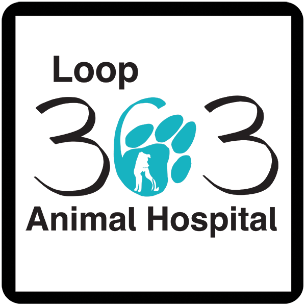 Our Veterinary Team • Loop 363 Animal Hospital