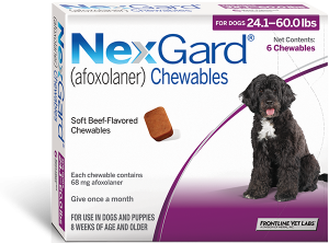 NexGard (afoxolaner) Chewables 24.1-60.0lbs (no claims)